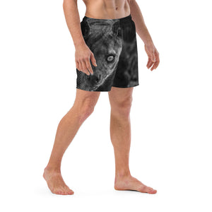 Fossa Training Trunks
